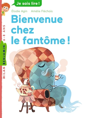 Bienvenue chez le fantôme ! - Elodie Agin