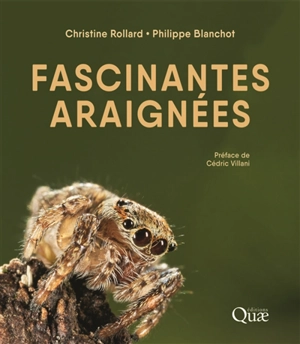 Fascinantes araignées - Christine Rollard