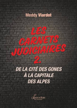 Les carnets judiciaires. Vol. 2. De la cité des gones à la capitale des Alpes - Meddy Viardot