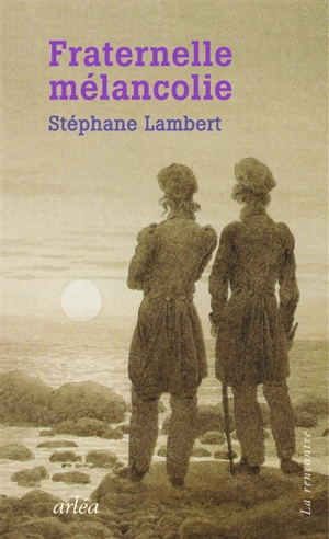 Fraternelle mélancolie : Melville et Hawthorne, une passion - Stéphane Lambert