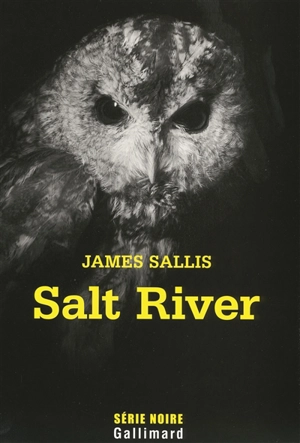 Salt River - James Sallis