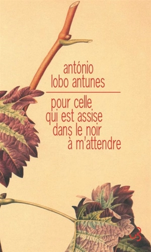 Pour celle qui est assise dans le noir à m'attendre - Antonio Lobo Antunes