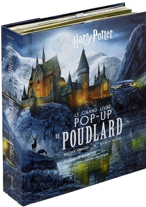 Harry Potter : le grand livre pop-up de Poudlard - Matthew Reinhart