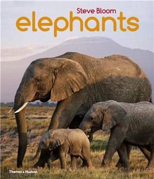 Elephants A Book for Children (Paperback) - Steve Bloom