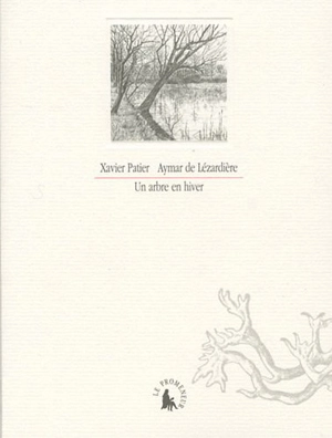 Un arbre en hiver - Xavier Patier