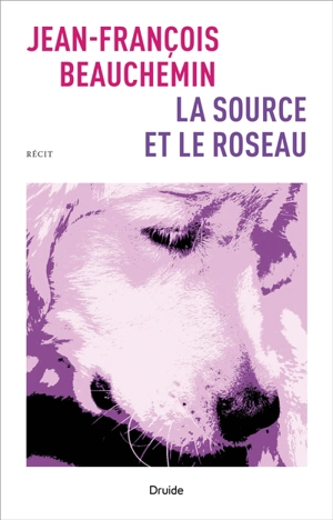 La source et le roseau - Jean-François Beauchemin