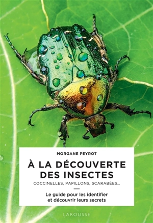 A la découverte des insectes : coccinelles, papillons, scarabées... : le guide pour les identifier et découvrir leurs secrets - Morgane Peyrot