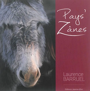 Pays' zânes : le dictionâne - Laurence Lager Barruel