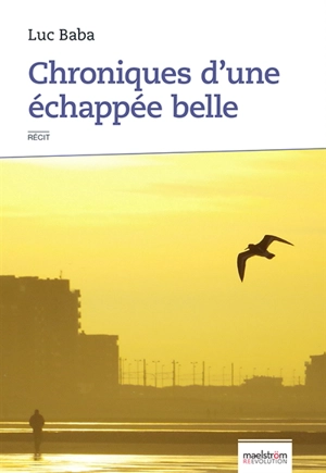 Chroniques d'une échappée belle : récit - Luc Baba