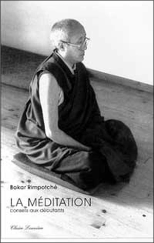 La méditation : conseils aux débutants - Bokar