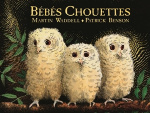 Bébés chouettes - Martin Waddell