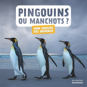 Pingouins ou manchots ? - Juliette Einhorn