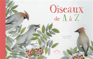 Oiseaux de A à Z - Corentin Bréhard