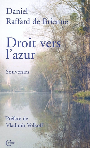 Droit vers l'azur - Daniel Raffard de Brienne