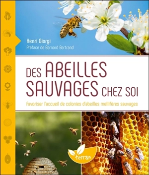 Des abeilles sauvages chez soi : favoriser l'accueil de colonies d'abeilles mellifères sauvages - Henri Giorgi