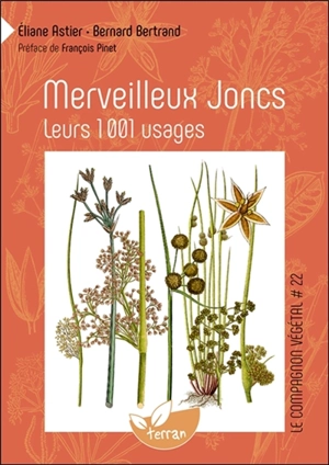 Merveilleux joncs : leurs 1.001 usages - Eliane Astier