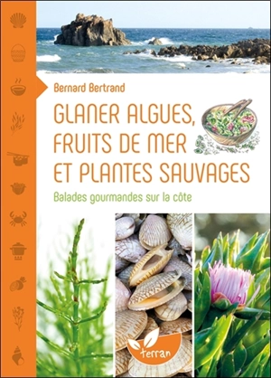 Glaner algues, fruits de mer et plantes sauvages : balades gourmandes sur la côte - Bernard Bertrand