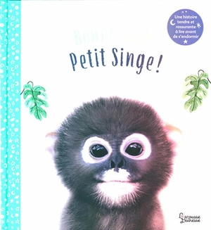 Bonne nuit, Petit Singe ! - Amanda Jane Wood