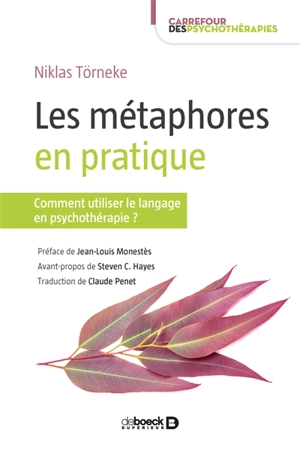 Les métaphores en pratique : comment utiliser le langage en psychothérapie ? - Niklas Törneke