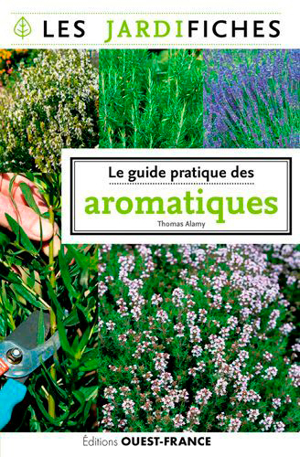 Notre guide pour planter des herbes aromatiques