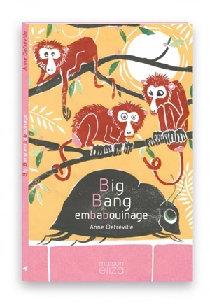 Big bang embabouinage - Anne Defréville