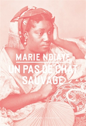 Un pas de chat sauvage - Marie Ndiaye