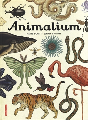 Animalium - Jenny Broom