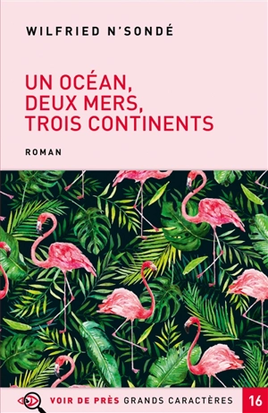 Un océan, deux mers, trois continents - Wilfried N'Sondé