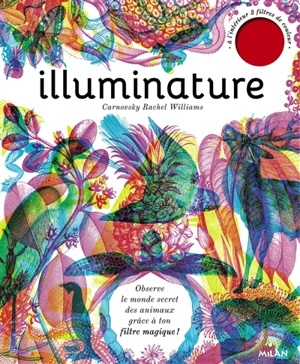 Illuminature - Rachel Williams