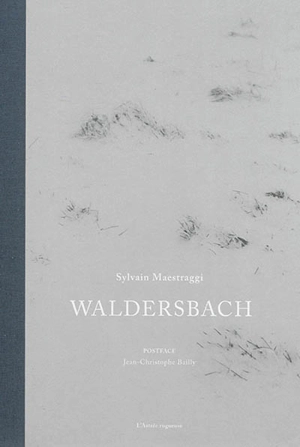 Waldersbach : d'après Lenz de Georg Büchner et le manuscrit du pasteur Oberlin - Sylvain Maestraggi