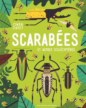 Scarabées : et autres coléoptères - Owen Davey