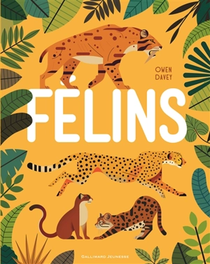 Félins - Owen Davey