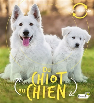 Du chiot au chien - Camilla De la Bedoyere