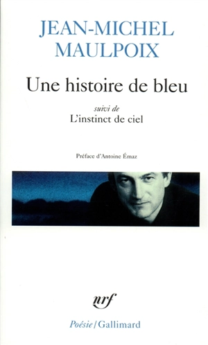 Une histoire de bleu. L'instinct de ciel - Jean-Michel Maulpoix