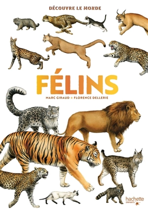 Félins - Marc Giraud