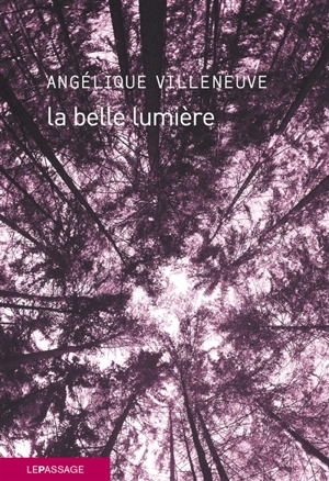 La belle lumière - Angélique Villeneuve