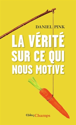 La vérité sur ce qui nous motive - Daniel H. Pink