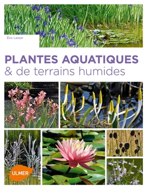 Plantes aquatiques & de terrains humides - Eric Lenoir