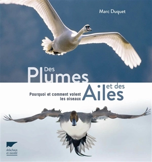 Des plumes et des ailes : pourquoi et comment volent les oiseaux - Marc Duquet