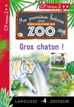 Gros chaton ! : CP niveau 2 - Audrey Forest