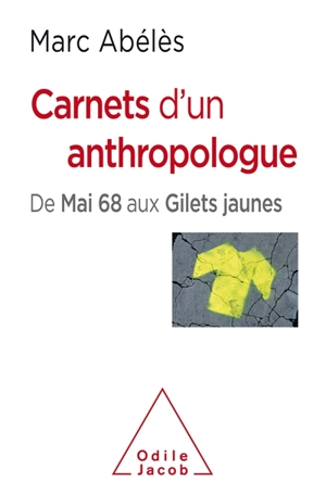 Carnets d'un anthropologue : de mai 68 aux gilets jaunes - Marc Abélès
