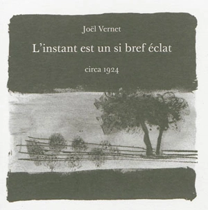 L'instant est un si bref éclat - Joël Vernet