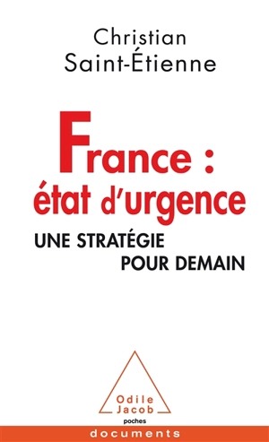 France : état d'urgence : une stratégie pour demain - Christian Saint-Etienne