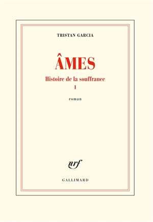 Histoire de la souffrance. Vol. 1. Ames - Tristan Garcia