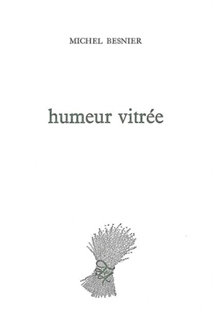 Humeur vitrée - Michel Besnier