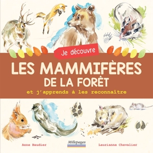 Je découvre les mammifères de la forêt : et j'apprends à les reconnaître - Anne Baudier